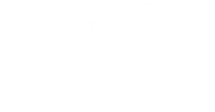 White silhouette of a world map on a transparent background.